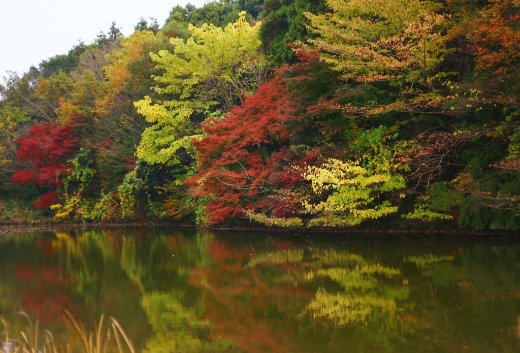 北総花の丘公園