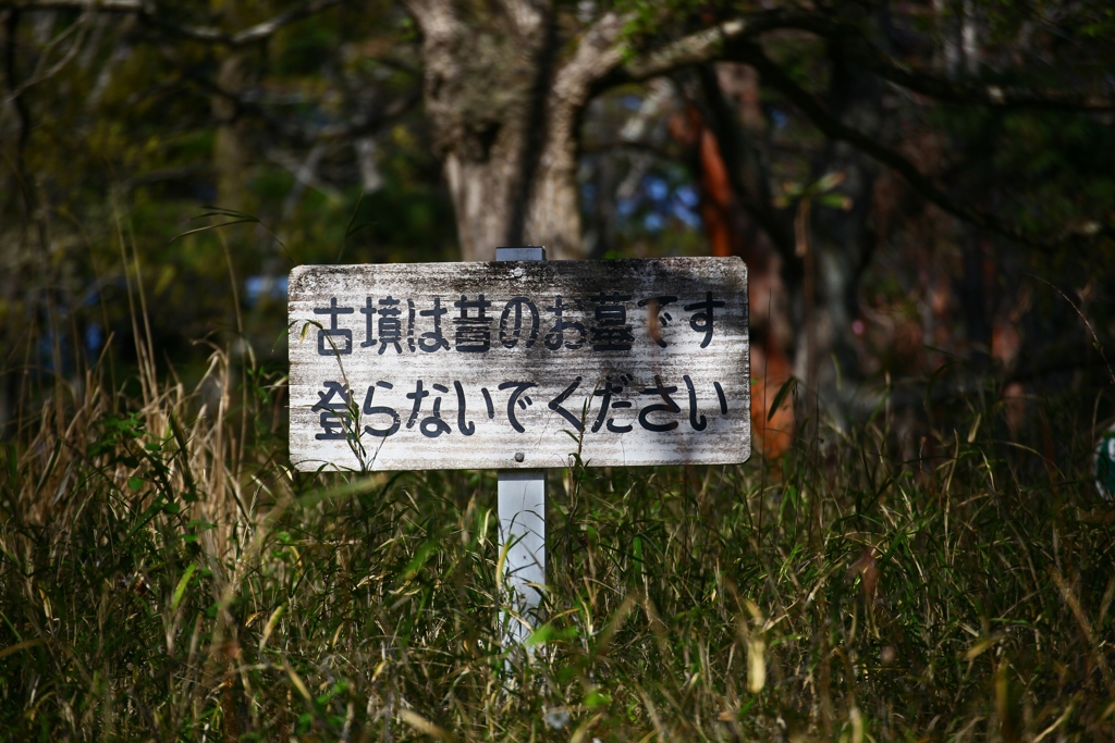 房総風土記の丘　白鳳の道にある古墳群