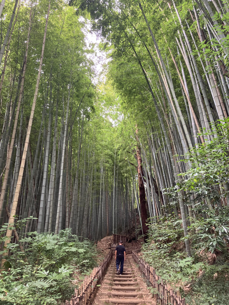 佐倉ひよどり坂