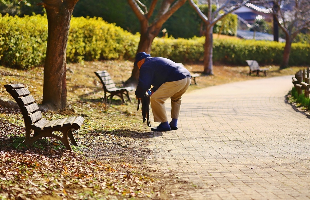 猫さん散歩