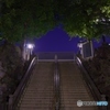 成田山境内への階段　夜