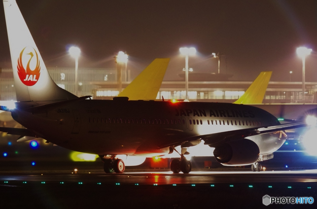 夜の成田国際空港～JAL機