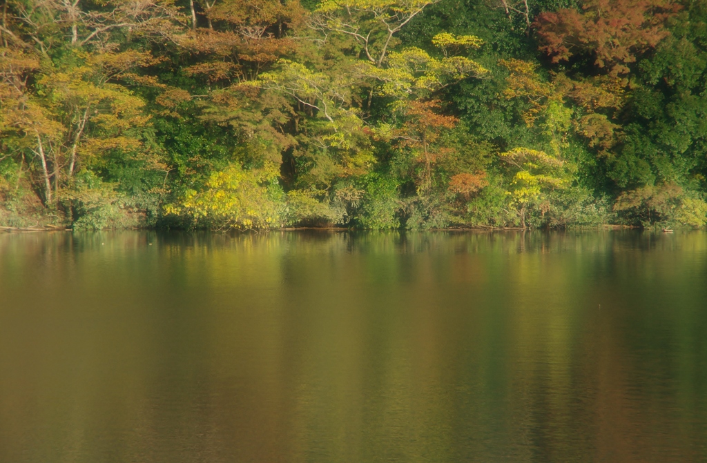 亀山湖　１
