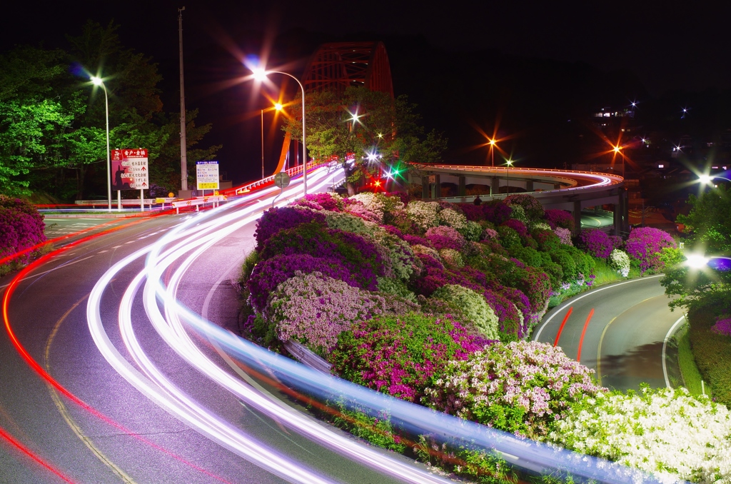 音戸の瀬戸公園　つつじ近景と車の光跡