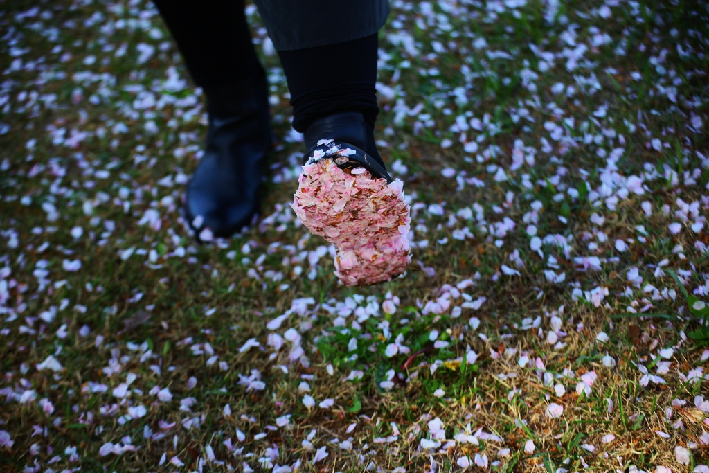 桜花の靴底