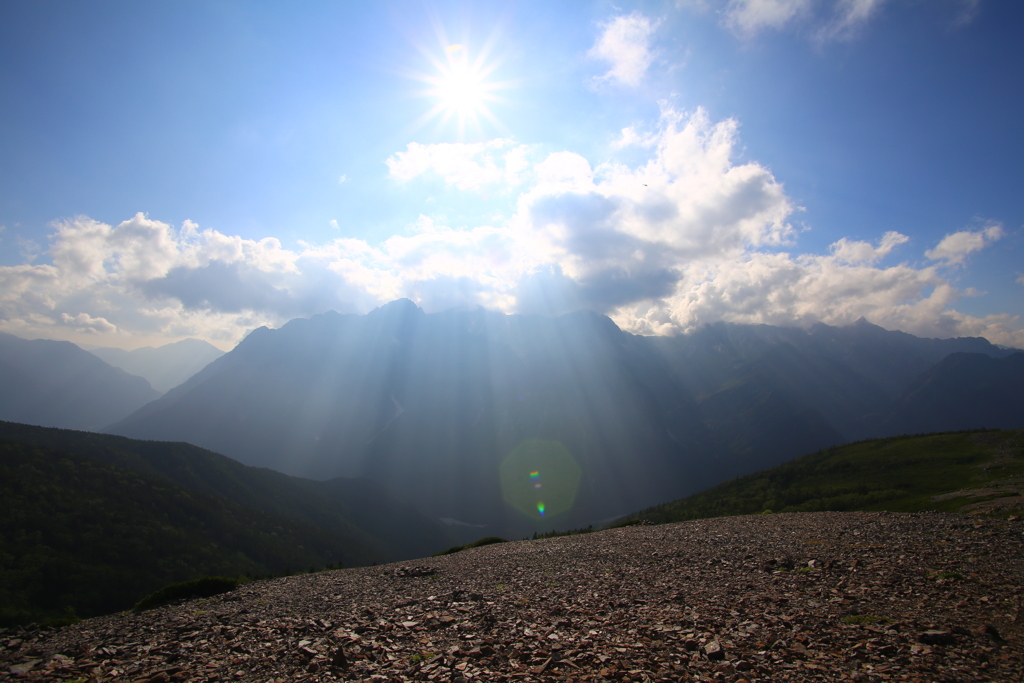夏山の光