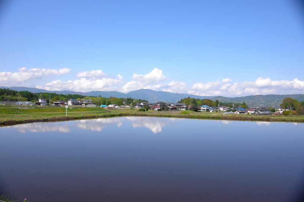 水田