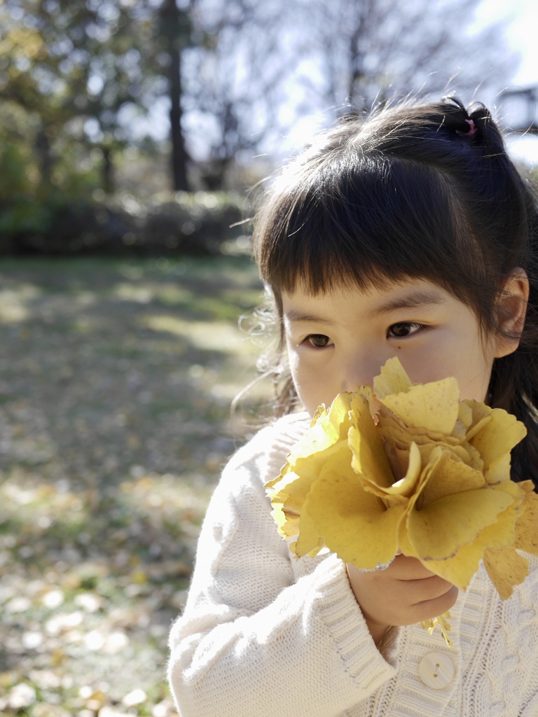秋の花束
