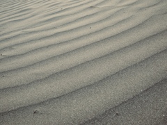 渚の風紋