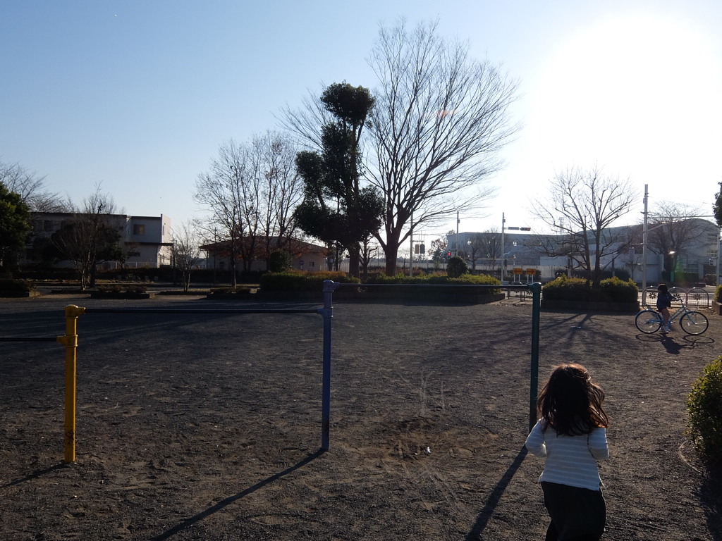 午後の公園