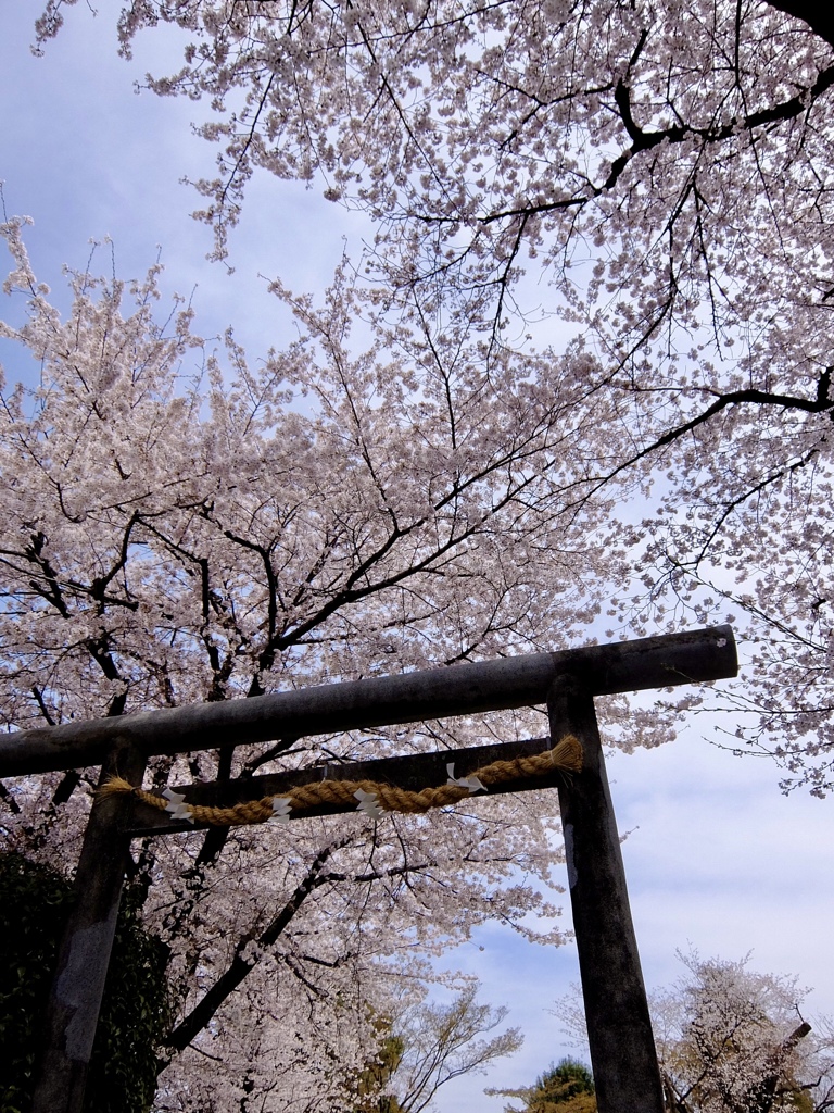 春の神社