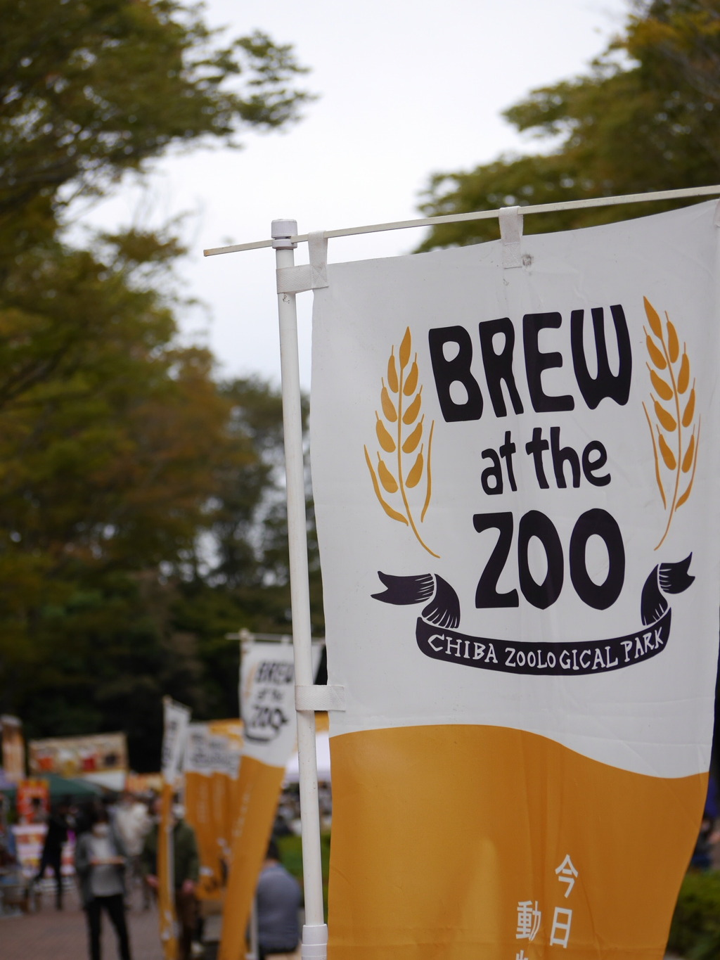 in the zoo