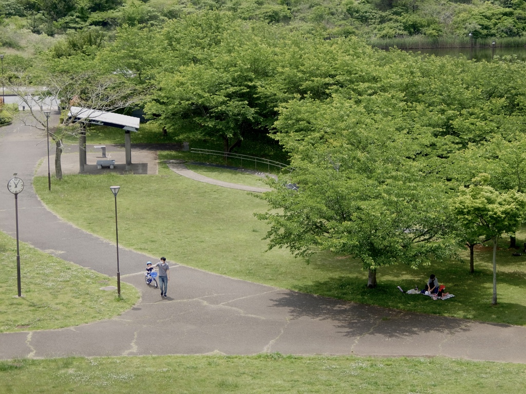 In the park