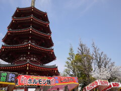 桜と屋台