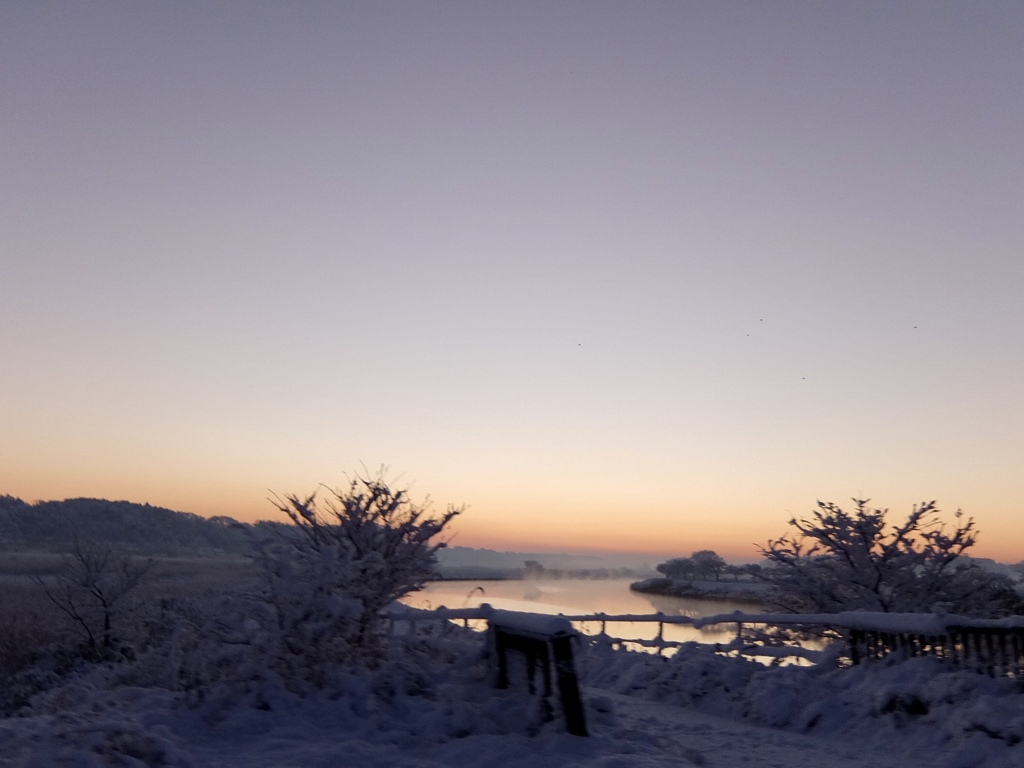 Snow scene at morning