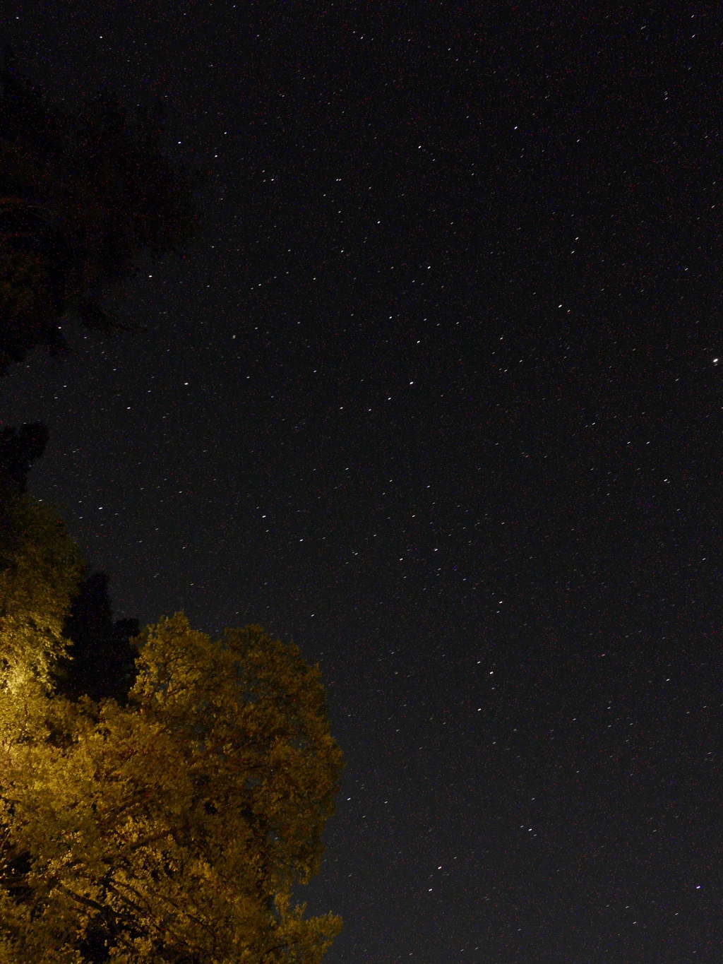 星空キャンプ