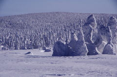 樹氷林