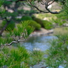 見えきました縮景園
