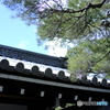 京都御所