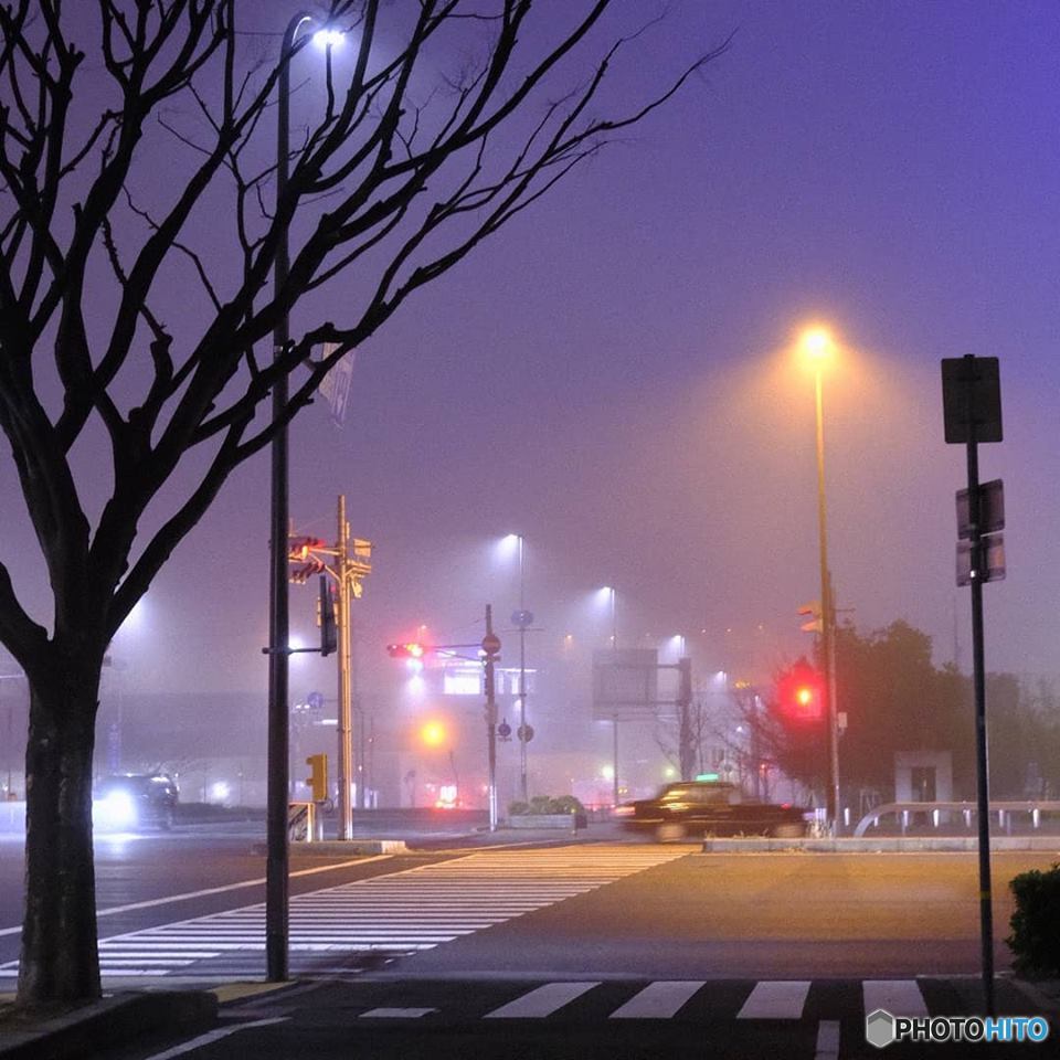 3月21日 春分の日の夜中の濃霧