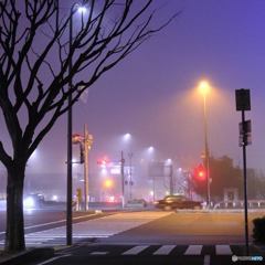 3月21日 春分の日の夜中の濃霧