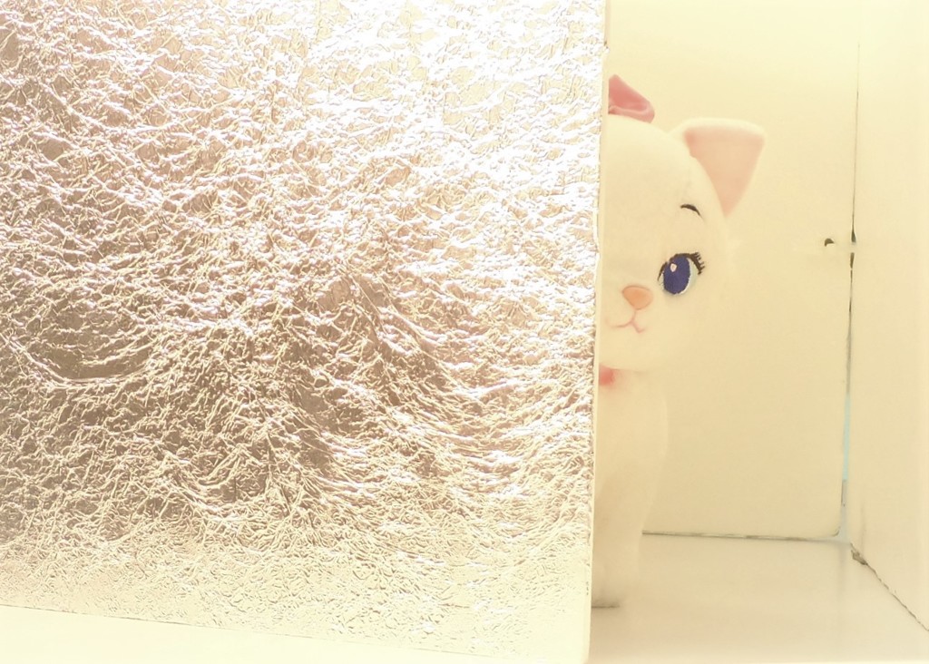 マリーちゃん