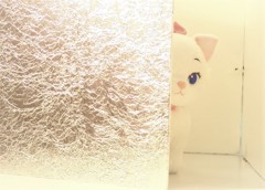 マリーちゃん
