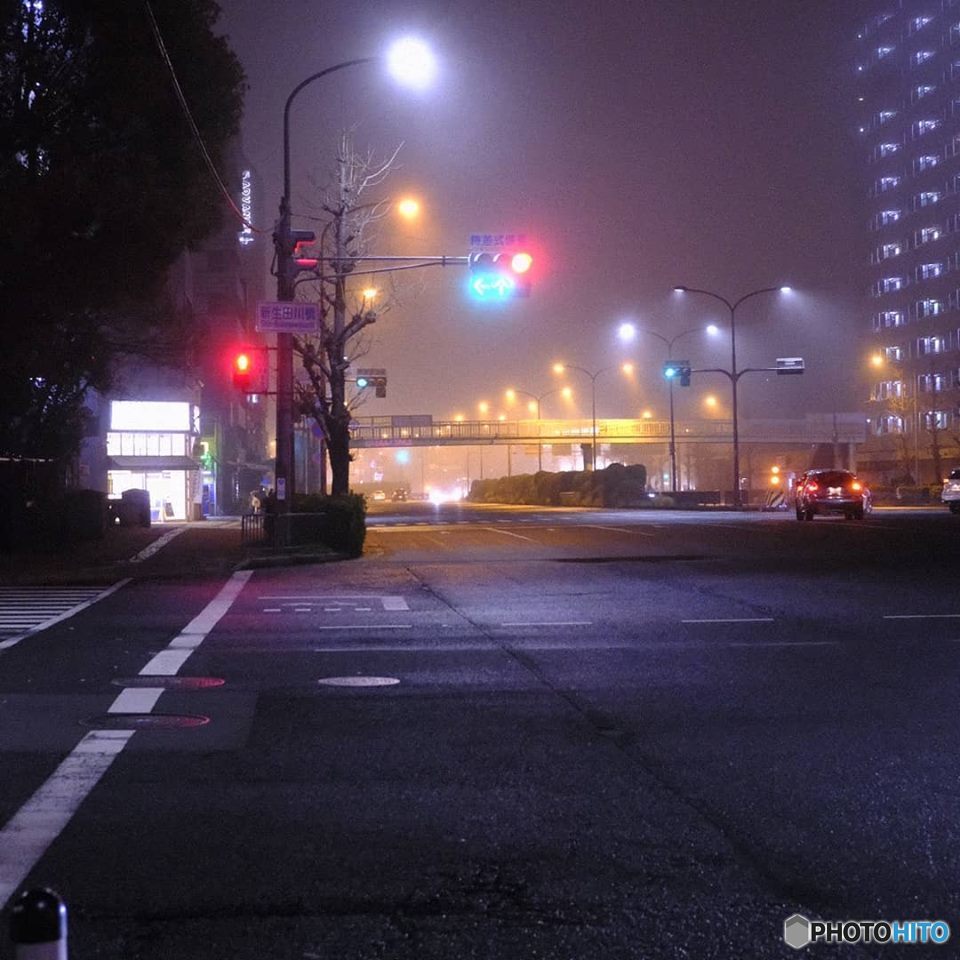 3月21日 春分の日の夜中の濃霧