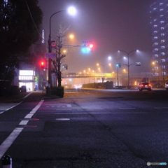 3月21日 春分の日の夜中の濃霧