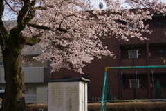 公園