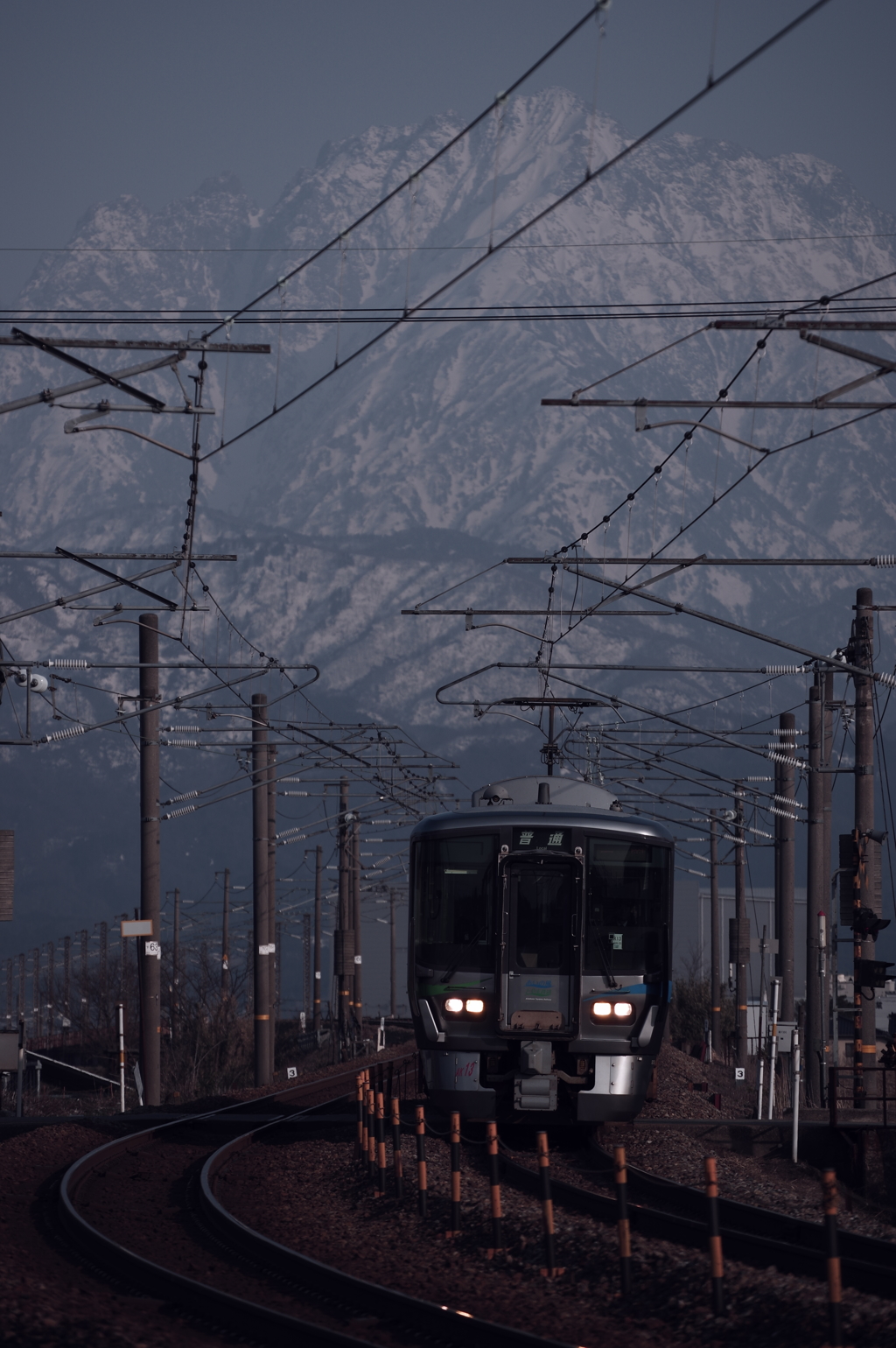 富山に根付いて