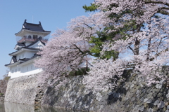 富山城春景