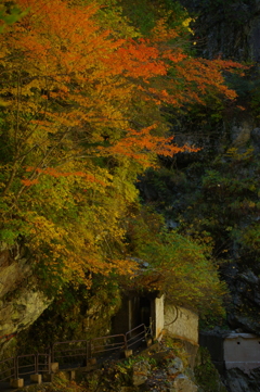 猿飛峡への道