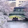 桜橋春景