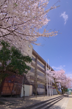 我が学び舎の木陰より