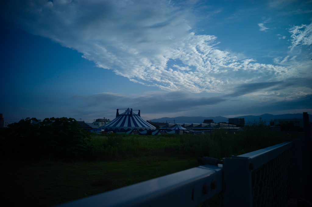 夏が来る