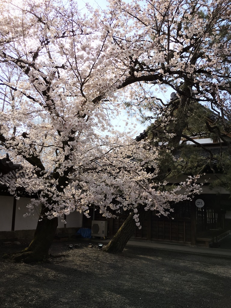 満開