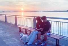 犬も合流