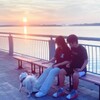 犬も合流