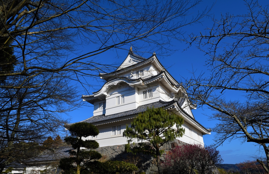 眺める