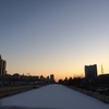 橋から