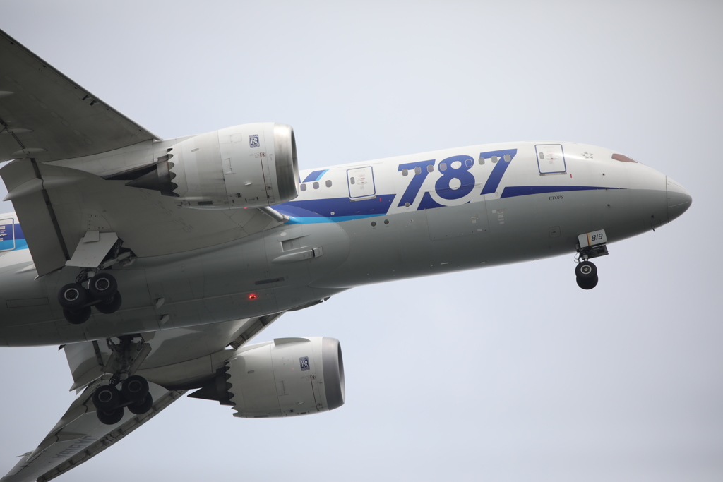 城南島海浜公園　787