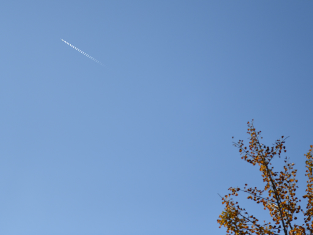 青空に一筋の