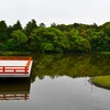 映