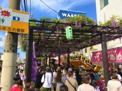 藤まつりにて