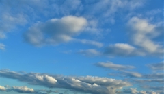 空模様