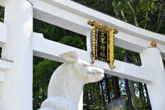 左から