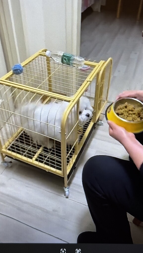 お待たせしました