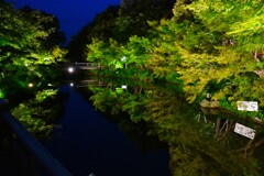 鏡池