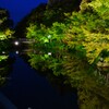 鏡池